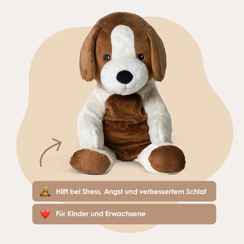 Lotgenootje Hund 2 kg