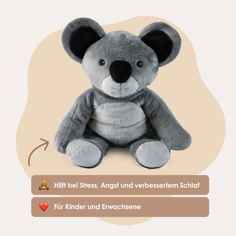 Lotgenootje Koala 2 kg