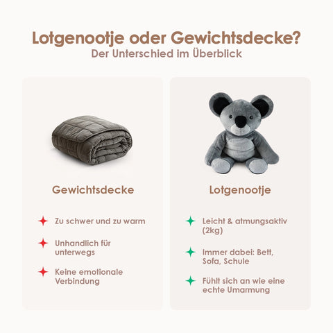 Lotgenootje Koala 2 kg