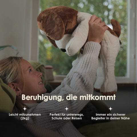 Lotgenootje Hund 2 kg