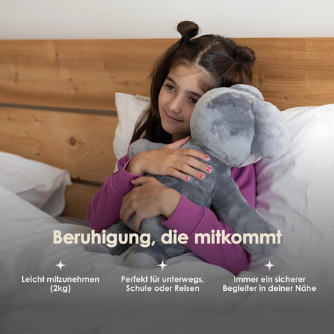 Lotgenootje Koala 2 kg