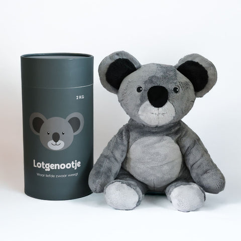 Lotgenootje Koala 2 kg