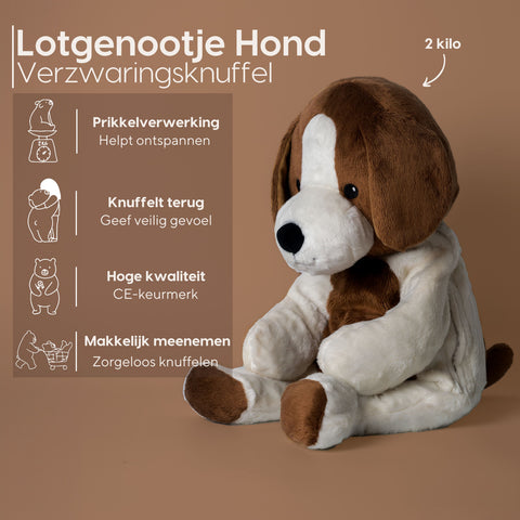 Bestseller-Vorteilsbundle – Bär und Hund – Du sparst €33