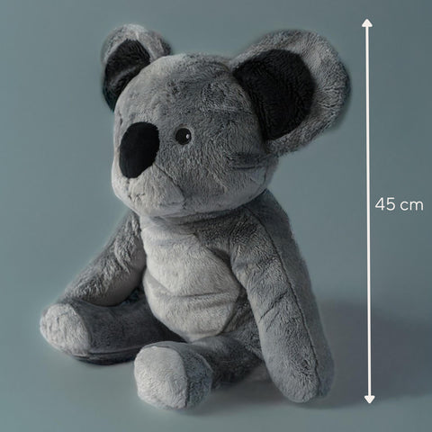 Lotgenootje Koala 2 kg