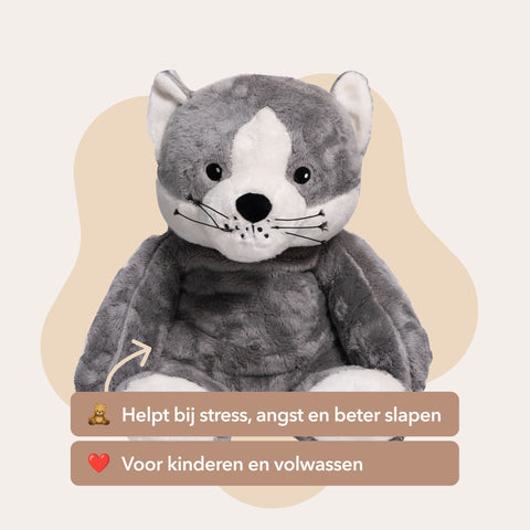 Mini & Große Katze – Du sparst €20