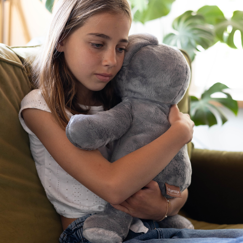 Mini & Großer Koala – Du sparst €20