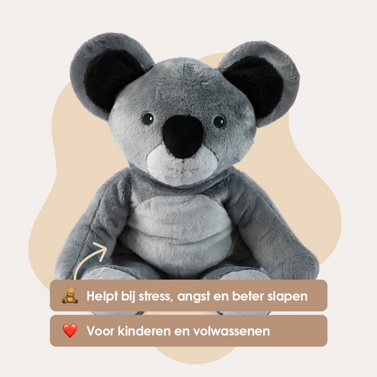 Lotgenootje Koala 2 kg