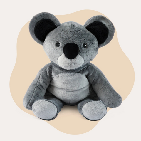 Lotgenootje Koala 2 kg