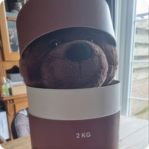 Customer review image