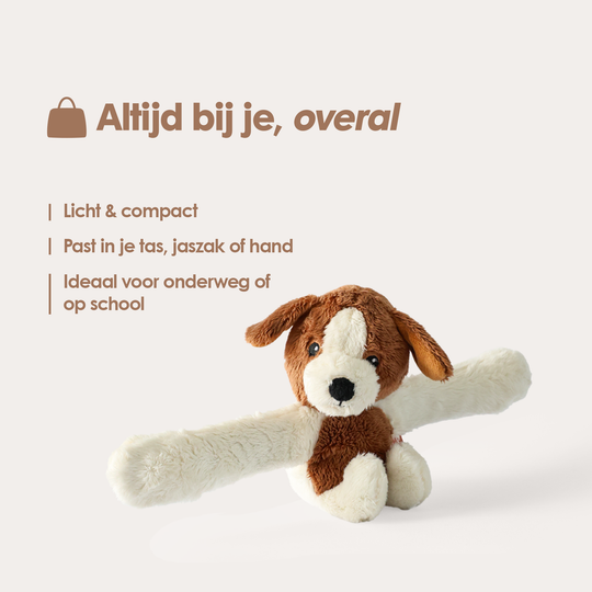Mini Lotgenootje Hund