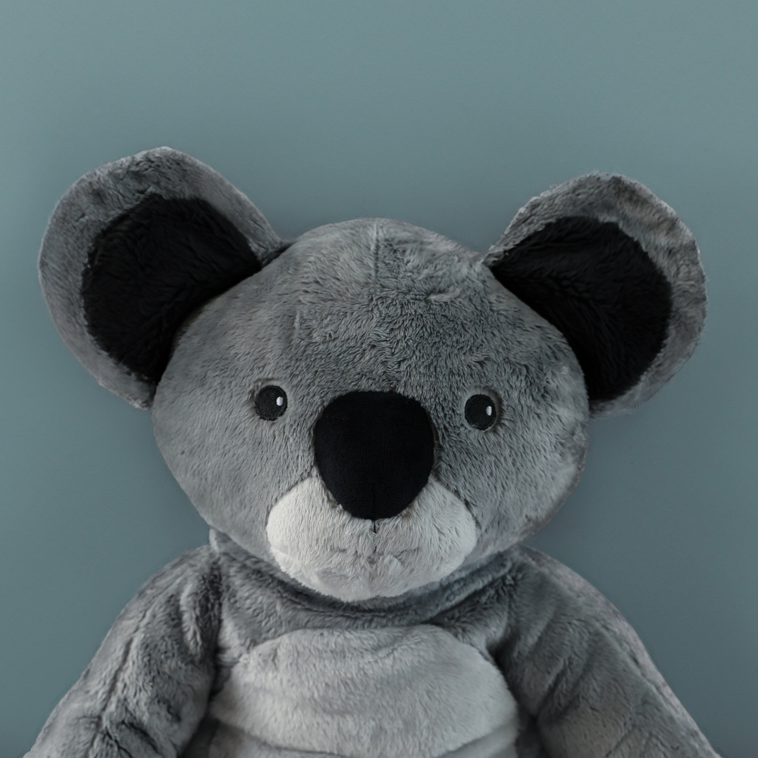 Lotgenootje Koala 2 kg