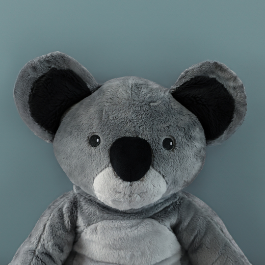 Lotgenootje Koala 2 kg