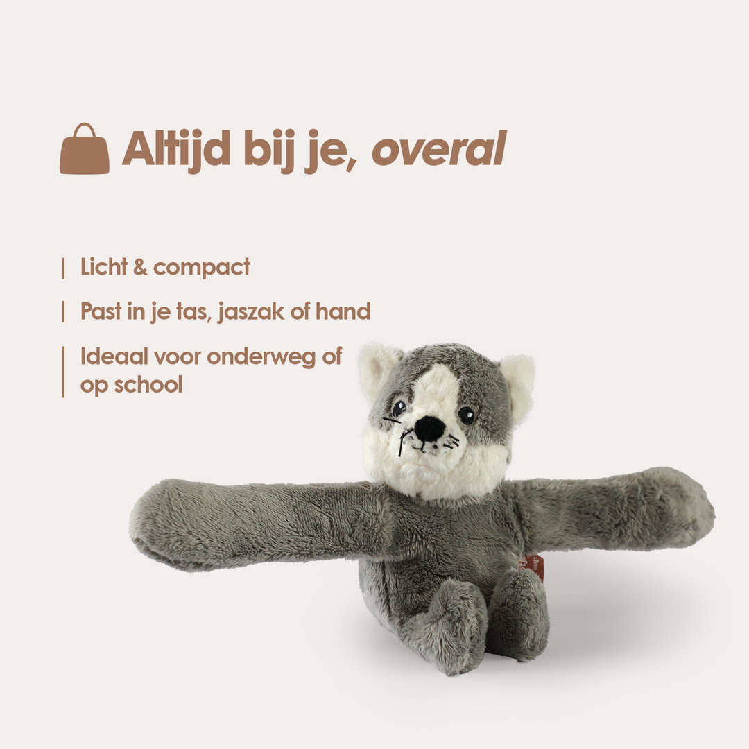 Mini Lotgenootje Katze