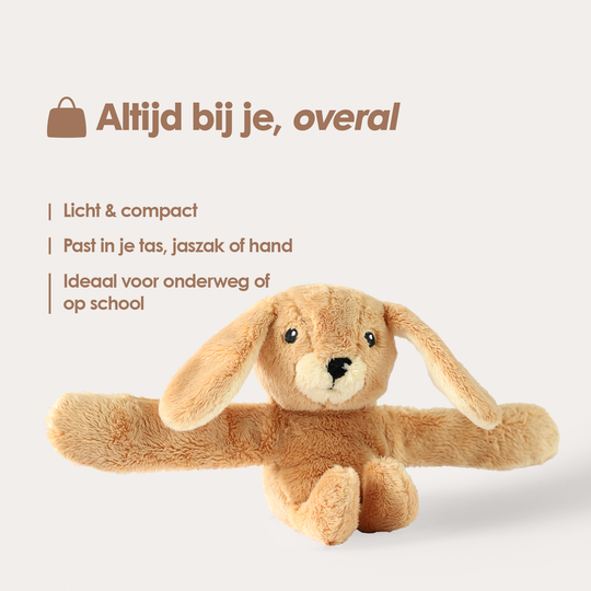 Mini Lotgenootje Kaninchen