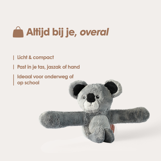 Mini Lotgenootje Koala