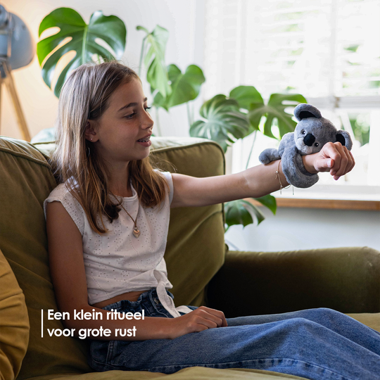 Mini Lotgenootje Koala