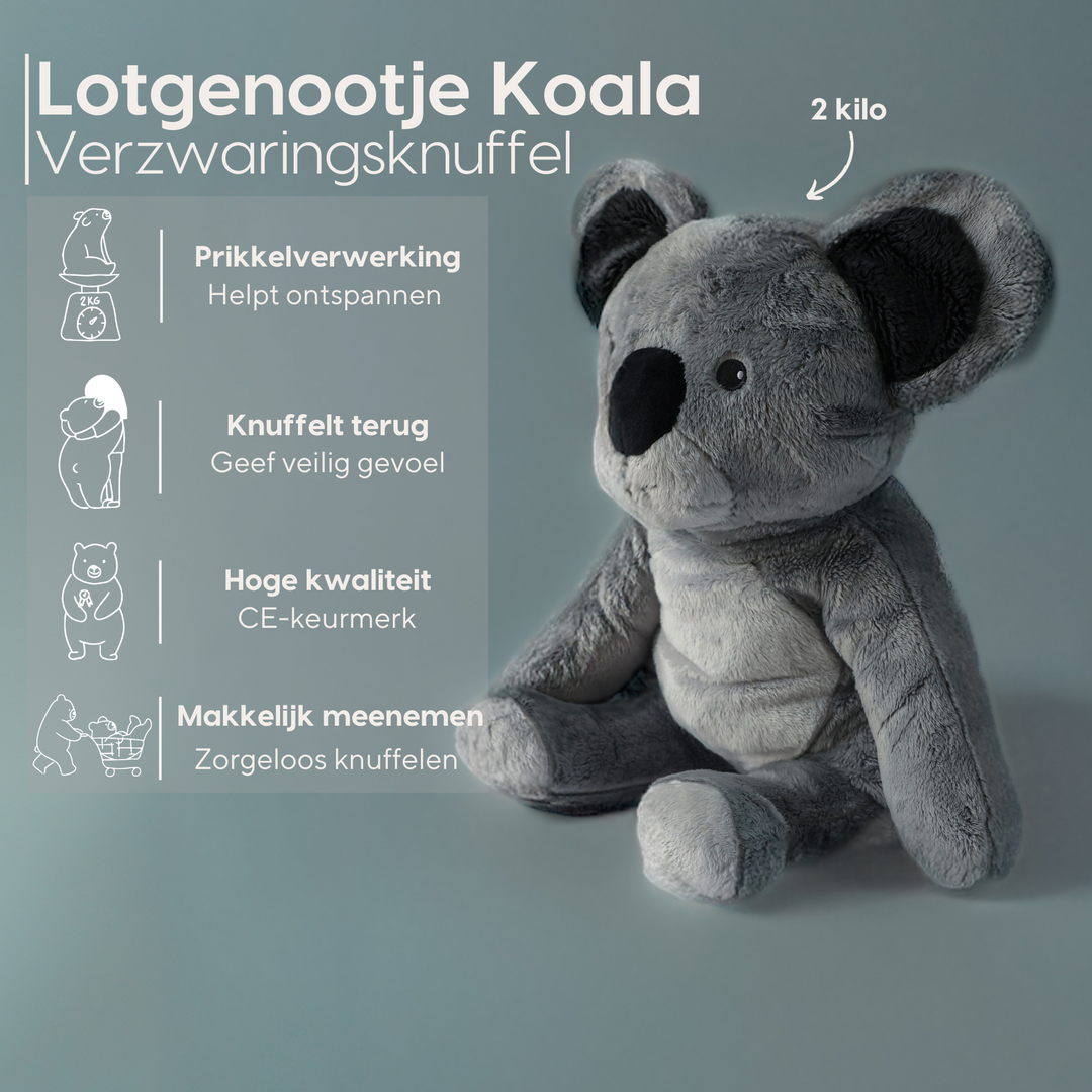 Lotgenootje Koala 2 kg