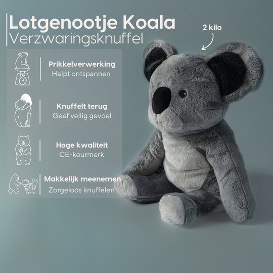 Lotgenootje Koala 2 kg