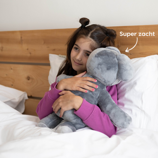 Lotgenootje Koala 2 kg
