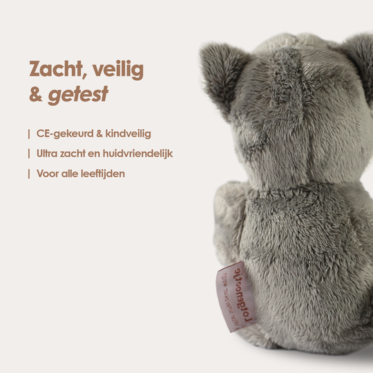 Mini Lotgenootje Katze