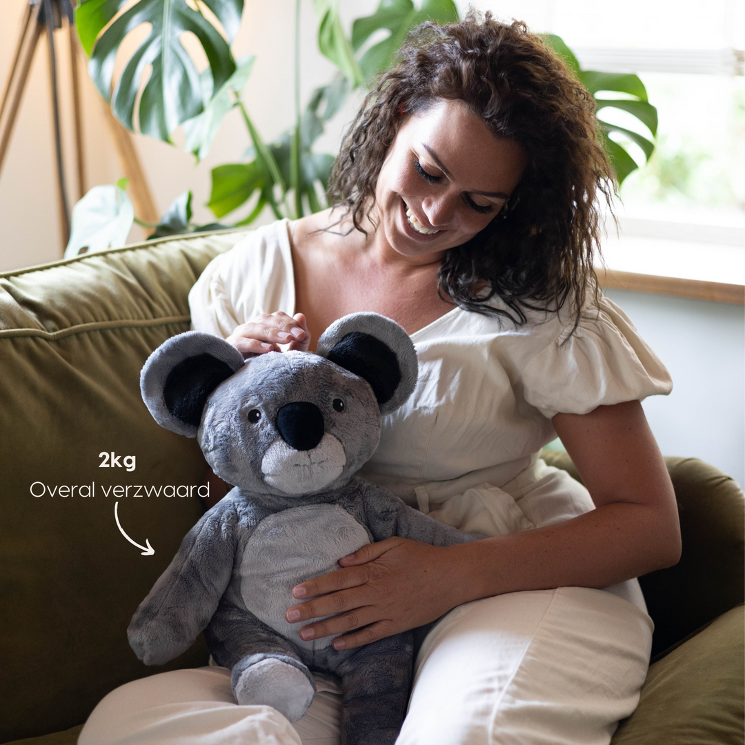 Lotgenootje Koala 2 kg