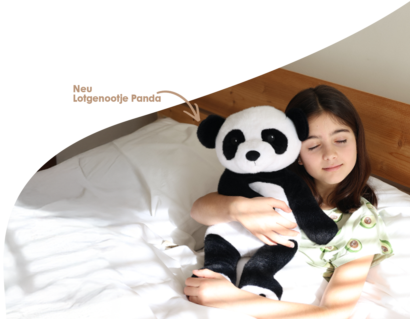 Section Background Img