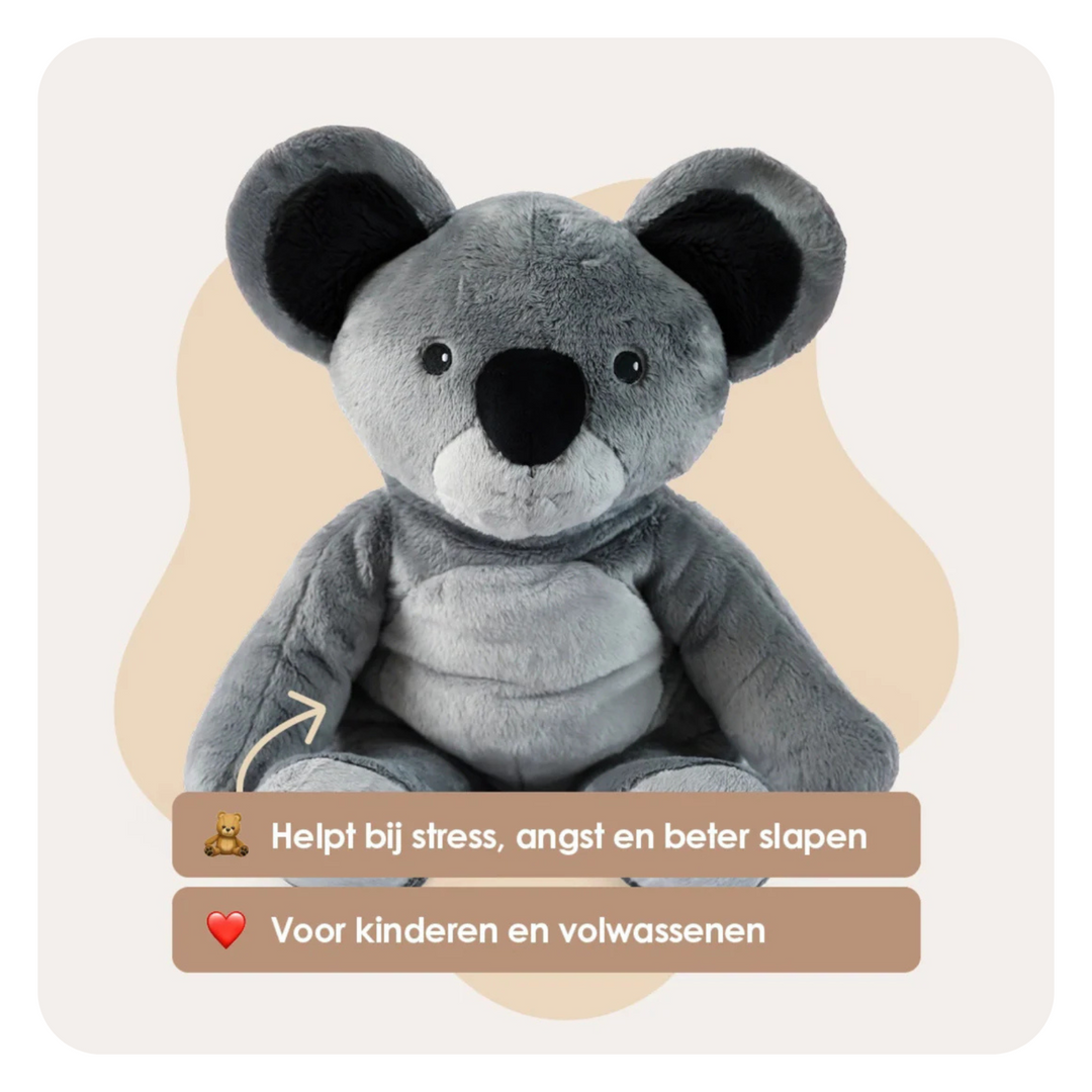 Das beste Lotgenootje-Angebot – Alle 4 Lotgenootjes in einem Set – Du sparst €70