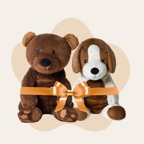 Bestseller-Vorteilsbundle – Bär und Hund – Du sparst €33