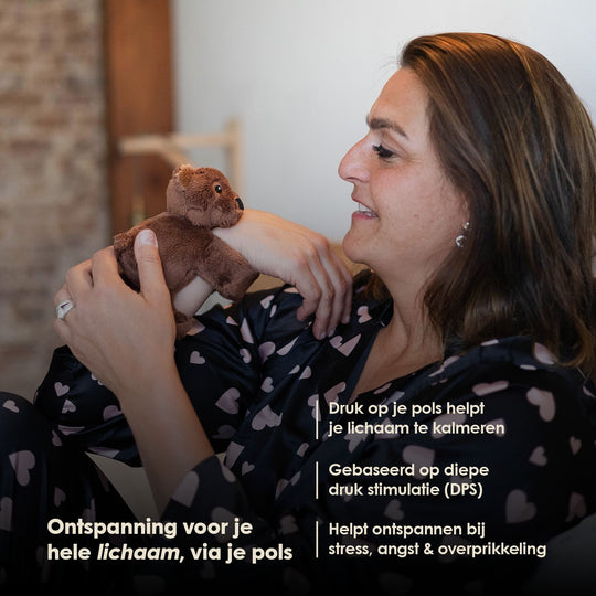 Mini Lotgenootje Bär