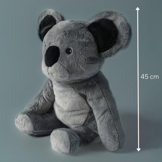 Lotgenootje Koala 2 kg
