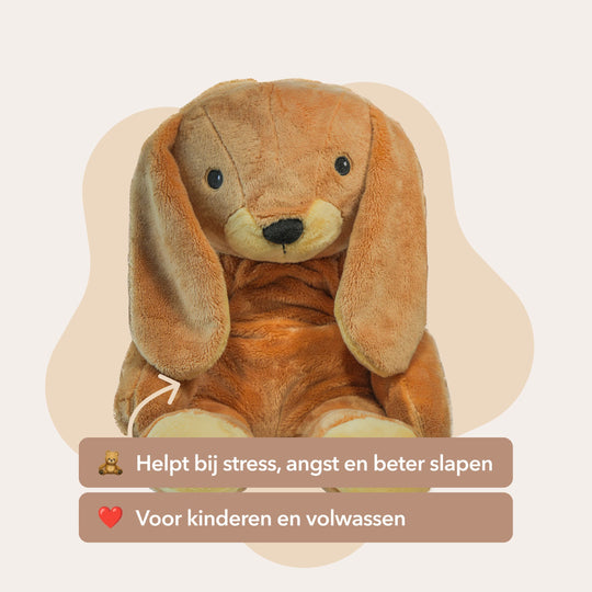 Das beste Lotgenootje-Angebot – Alle 4 Lotgenootjes in einem Set – Du sparst €70