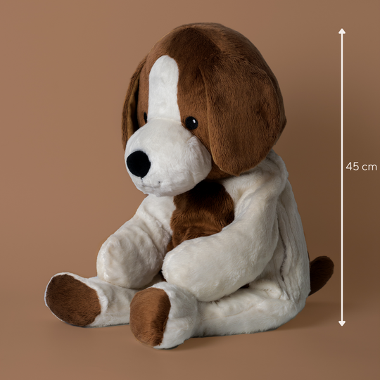 Lotgenootje Hund 2 kg