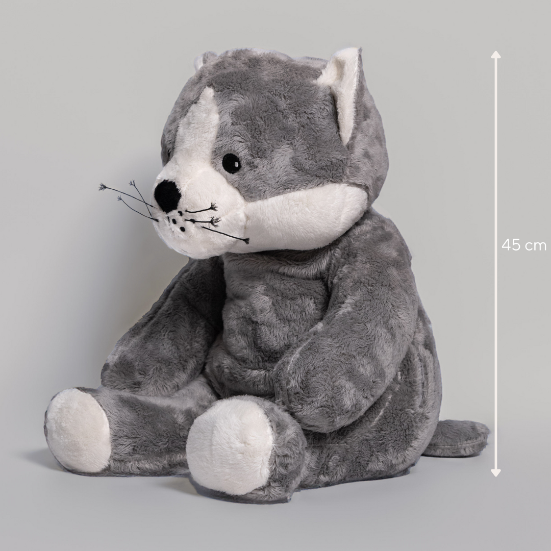 Lotgenootje Katze 2kg