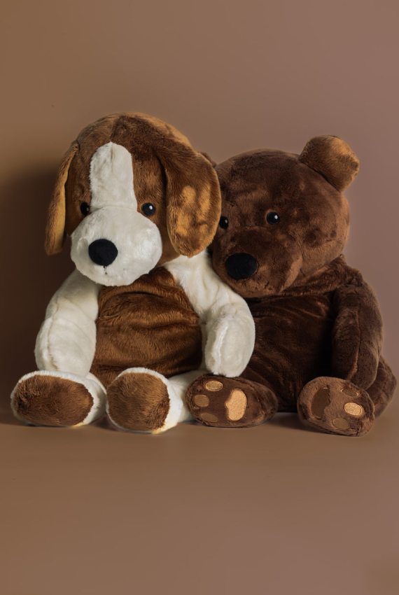 Hund und Bär